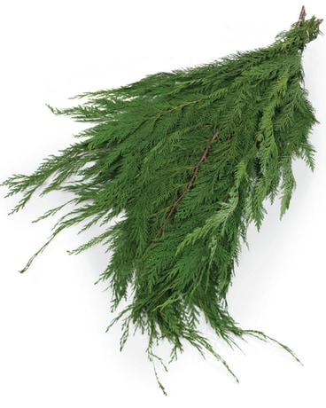 Port Orford Cedar Bunch Custom product
