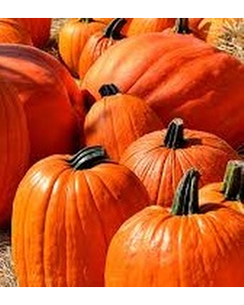 Pumpkin Custom product