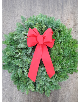 24 Inch Noble Fir Wreath Wreath