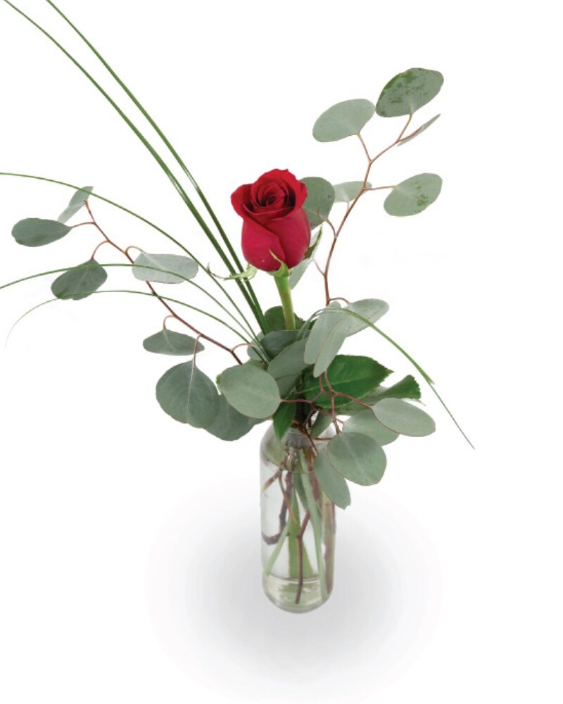 Rose Bud Vase in Cincinnati OH - Benken Florist Home and Garden