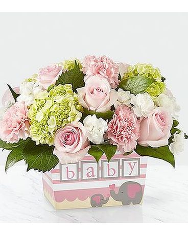 FTD Darling Baby Girl Boquuet Flower Arrangement
