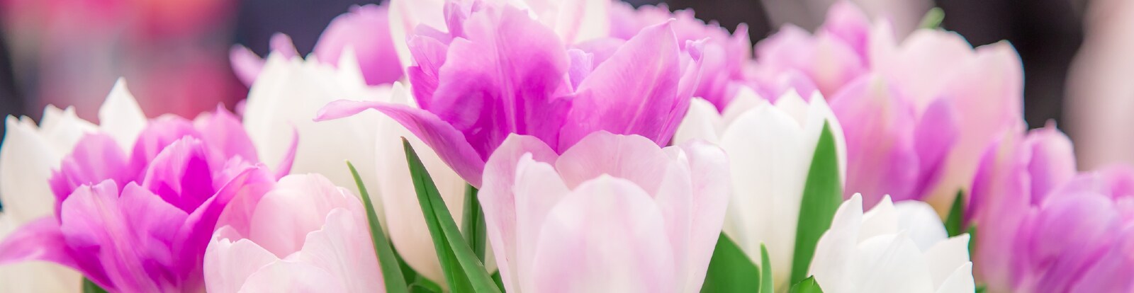 Celebrate Easter, Shop Now
