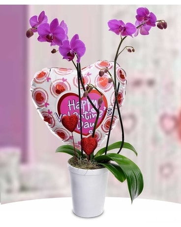 Orchid Amore Flower Arrangement
