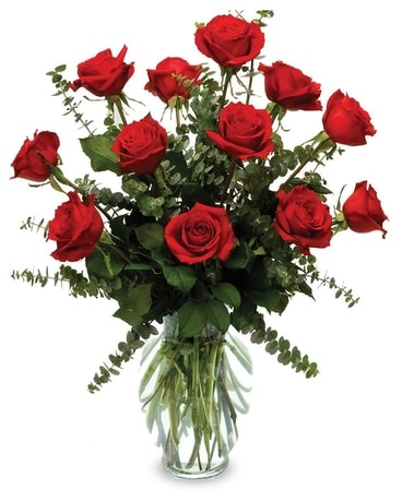 Dozen Long Stemmed Red Roses Flower Arrangement