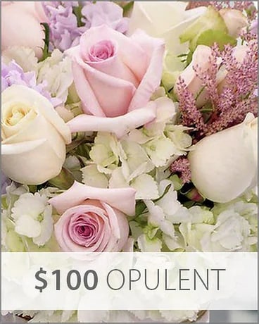 $100 Subscription Flower Arrangement