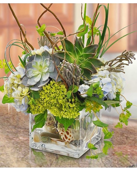 Succulence