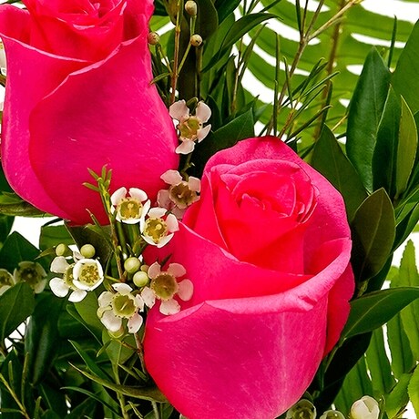 Pink Grapefruit Twist in Gillette WY - Forget Me Not Floral & Gift Pink Grapefruit Twist in Gillette WY - Forget Me Not Floral & Gift