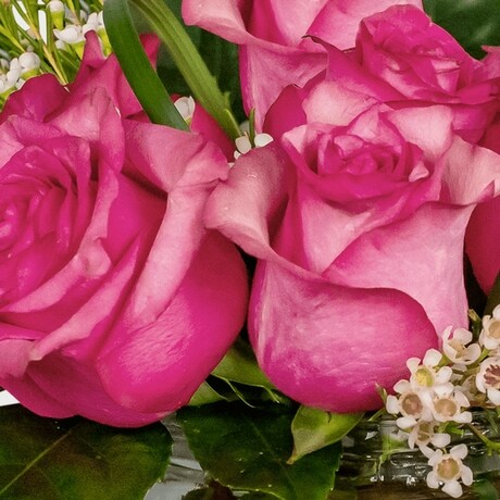 Passionate Pink in Tacoma WA - Blitz & Co. Florist & Flower Delivery