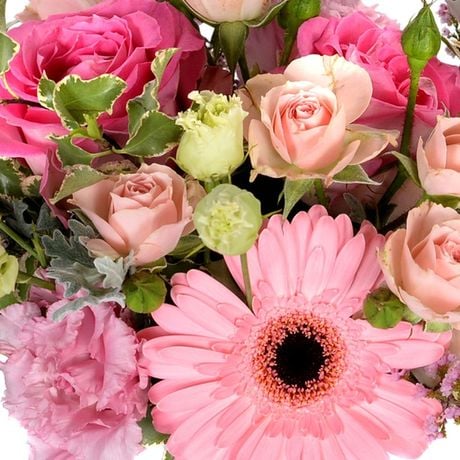 Peek-A-Bloom in Franklin IN - Bud & Bloom Florist Boutique and Home