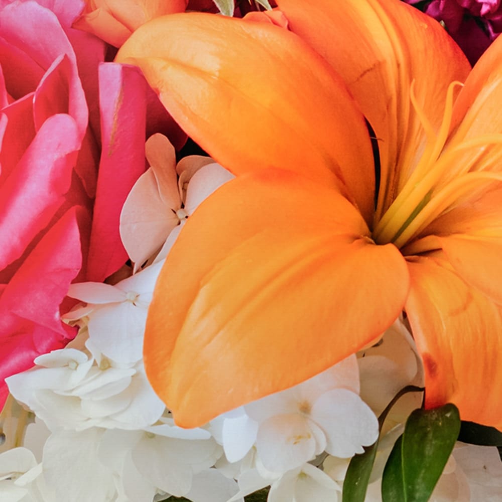 Honey Bee in Virginia Beach VA - Virginia Beach Florist, Inc