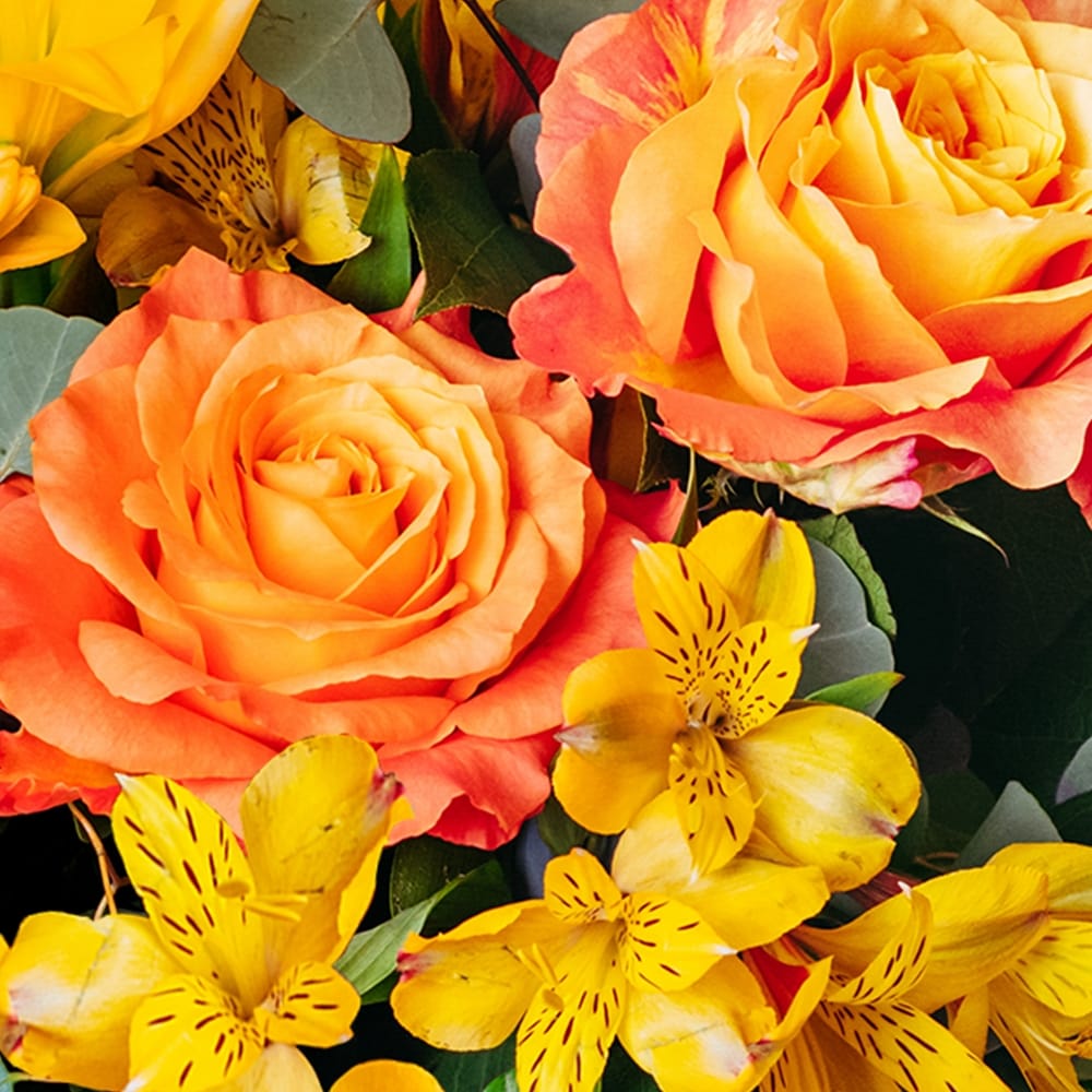 Fancy Free in Green Bay WI - Schroeder's Flowers