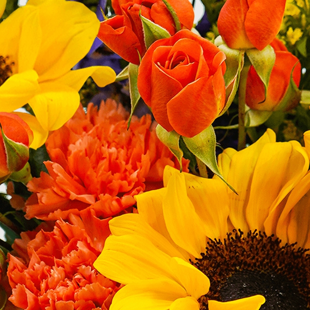Rosey Disposition in Rochester NY - Fioravanti Florist