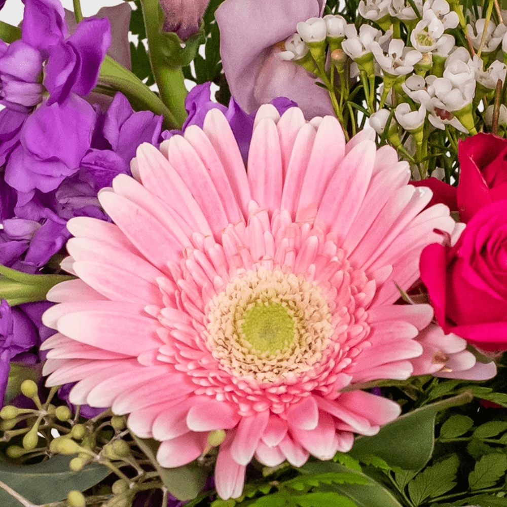 Daisy Delight in Chickasha OK - Kendall's Flowers and Gifts