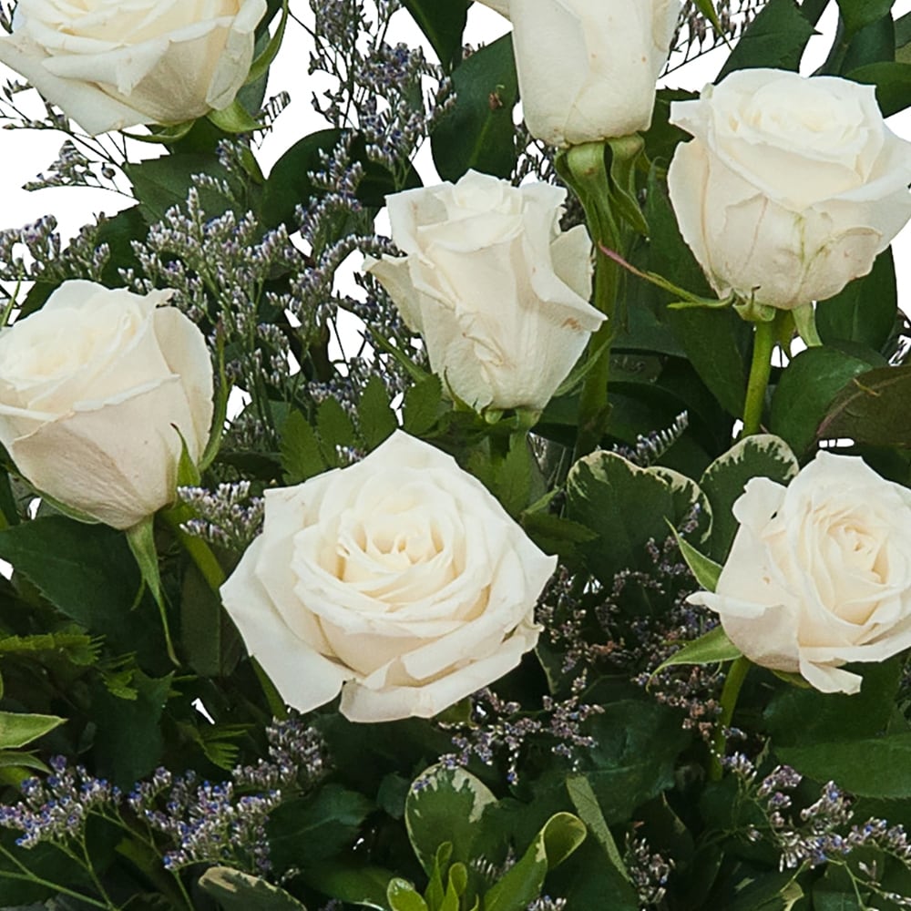 White Rose Elegance in Green Bay WI - Schroeder's Flowers