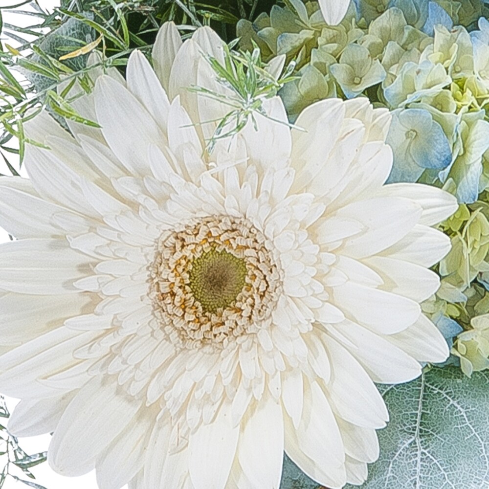 M's fiore. Fiore Oval Chandelier 62