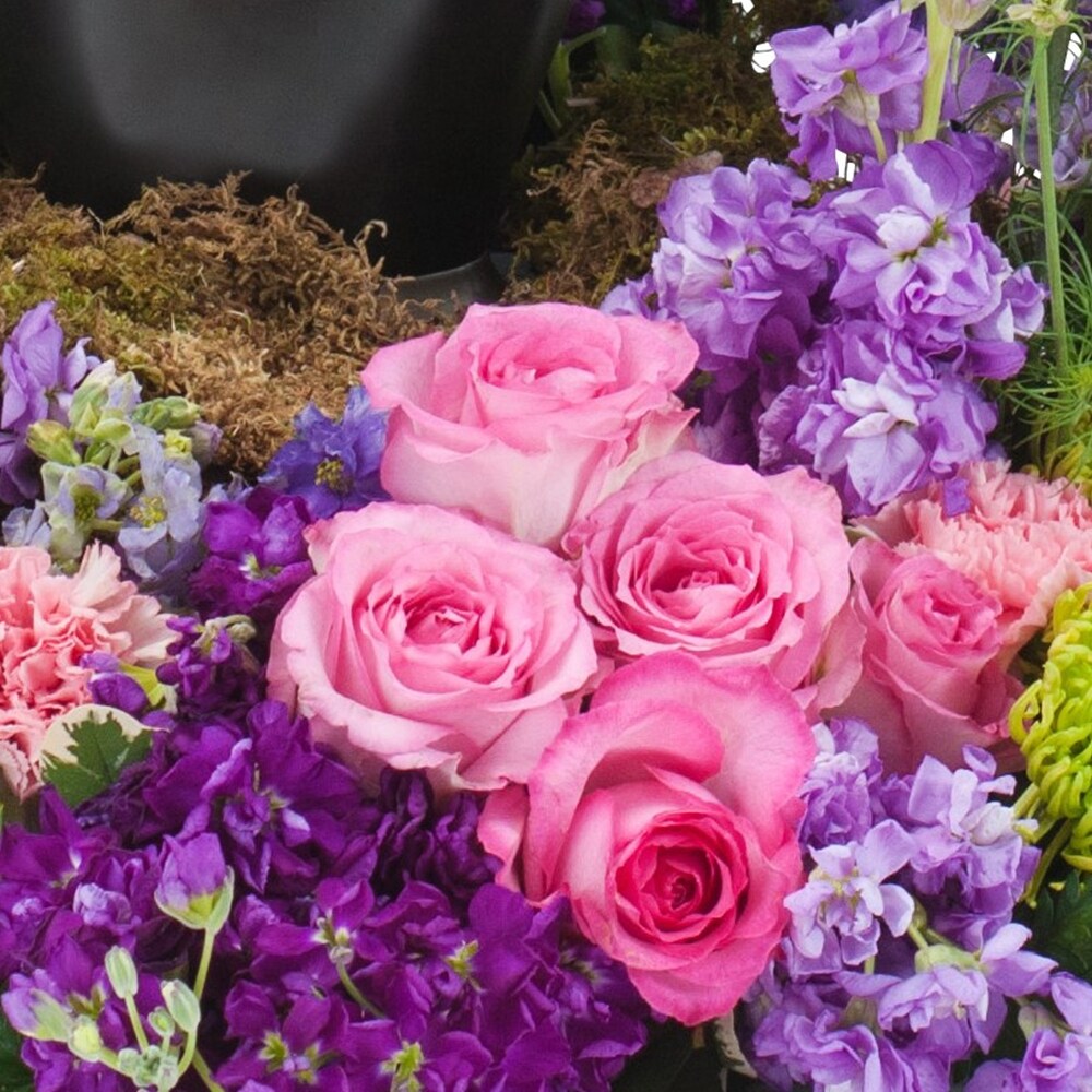 【仅開封】 Flowers concert「Memoire eternelle」 Flowers Concert Memoire eternelle Orchestra