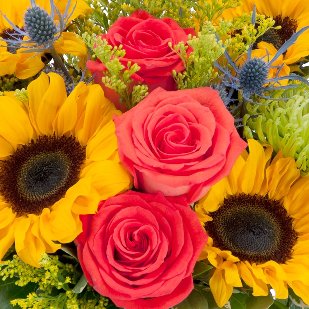 Sunlit Splendor in Rochester NY - Fioravanti Florist