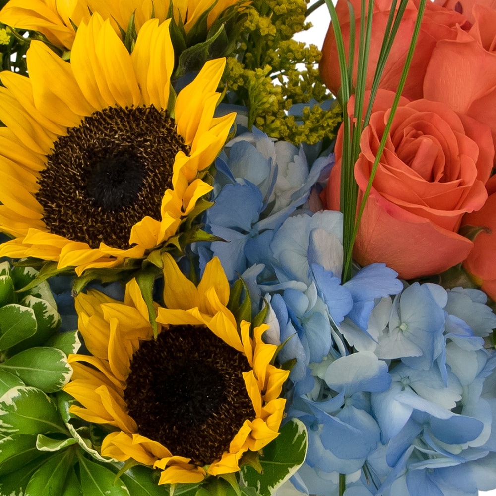 Fun in the Sun in Bel Air MD - Richardson's Flowers, Gifts