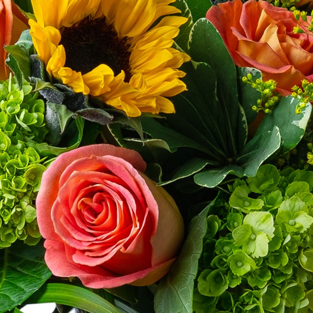 Sunflower Kisses in Cleveland OH - Segelin's Florist & Flower Delivery