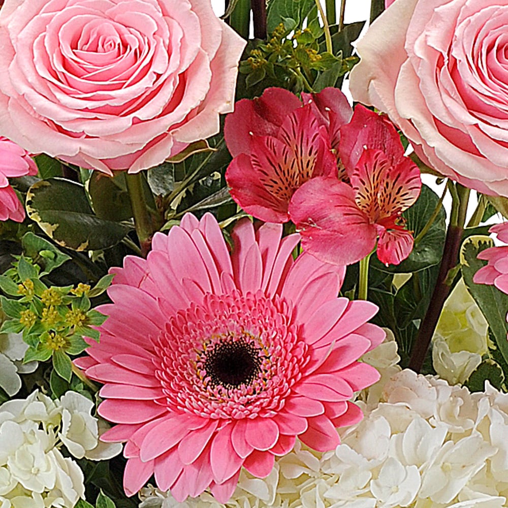 Pink Petals in Wilson NC - HYC Gallery of Flowers Pink Petals in Wilson NC - HYC Gallery of Flowers