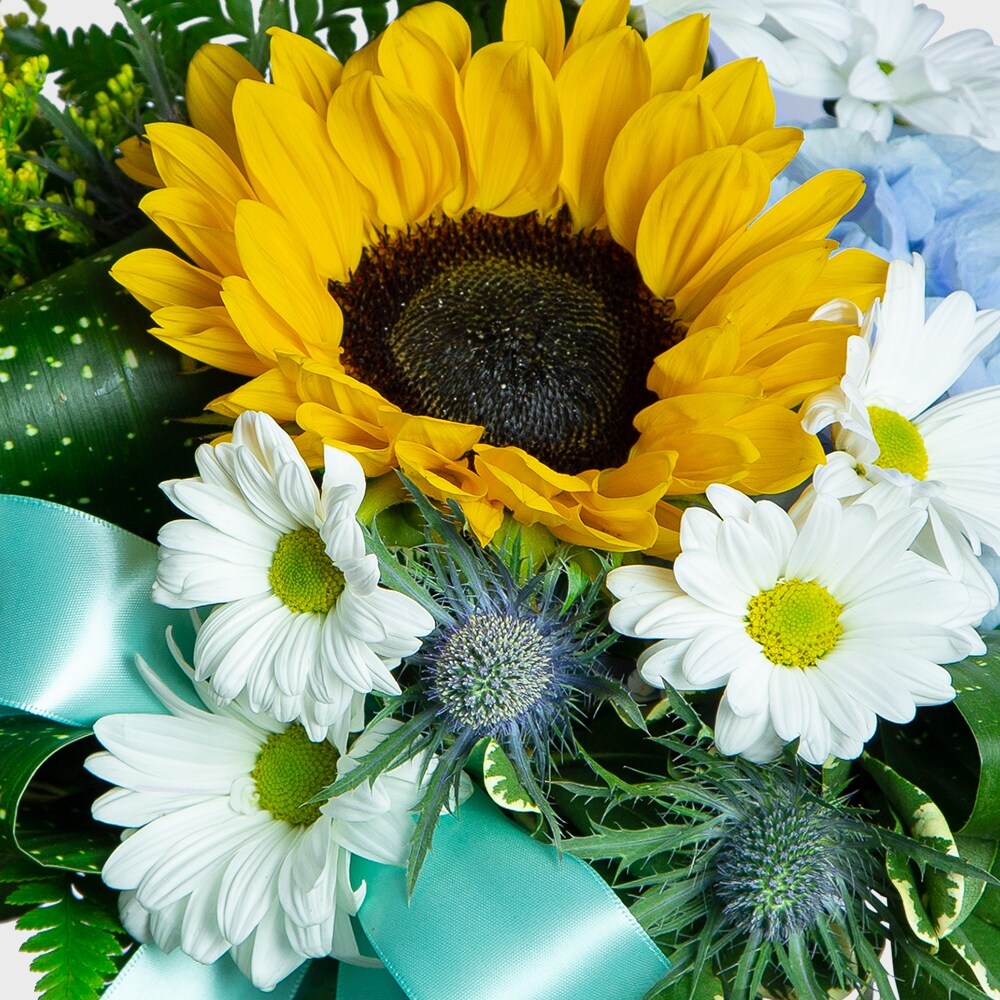 Daisy Joy in Green Bay WI - Schroeder's Flowers
