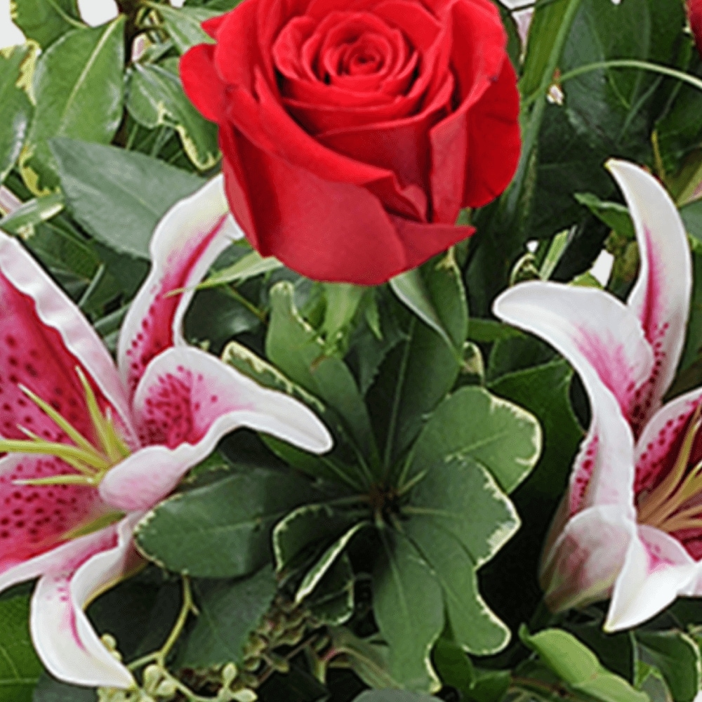 Crazy in Love in College Station TX - Postoak Florist