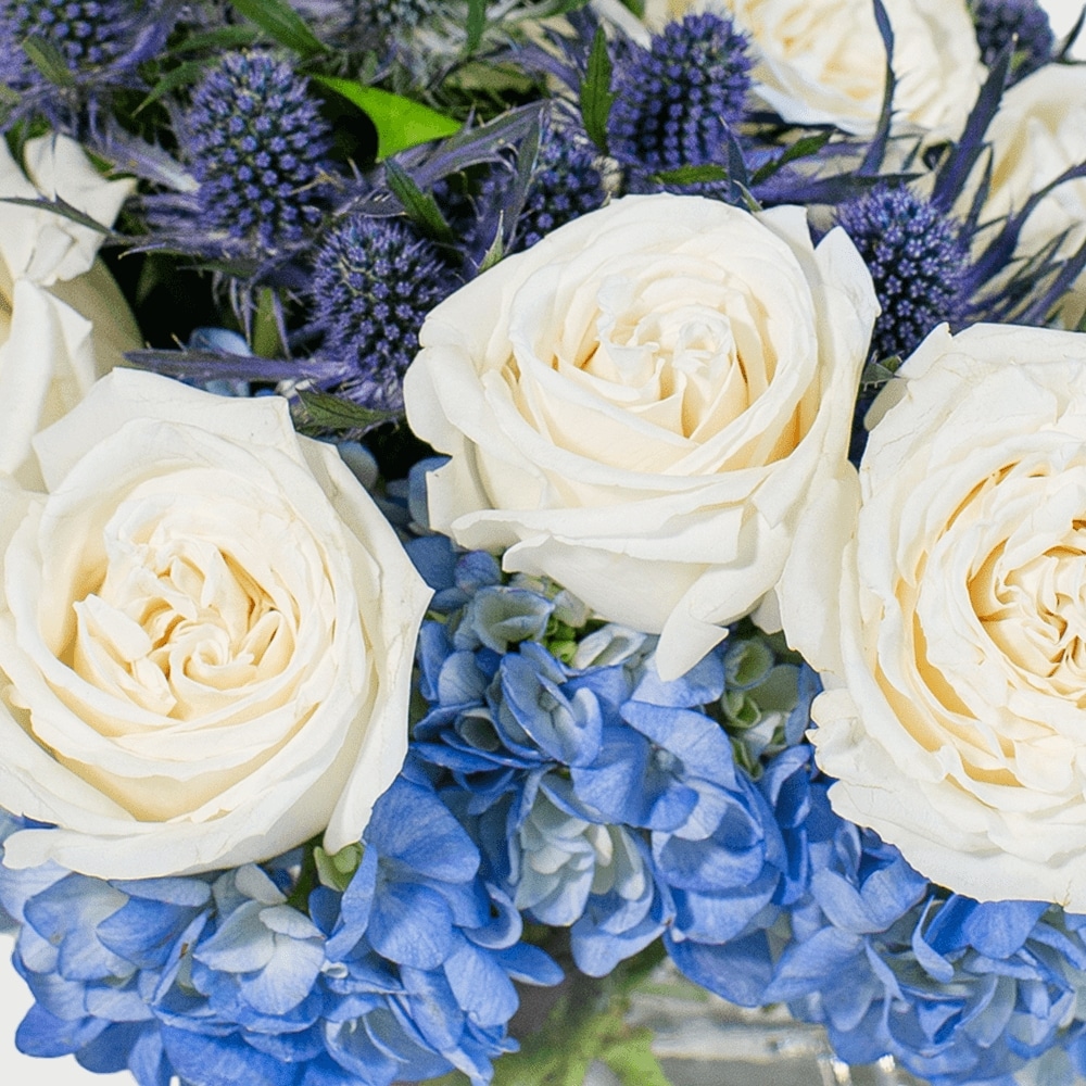 Cool Evenings in Tulsa OK - Toni's Flowers & Gifts