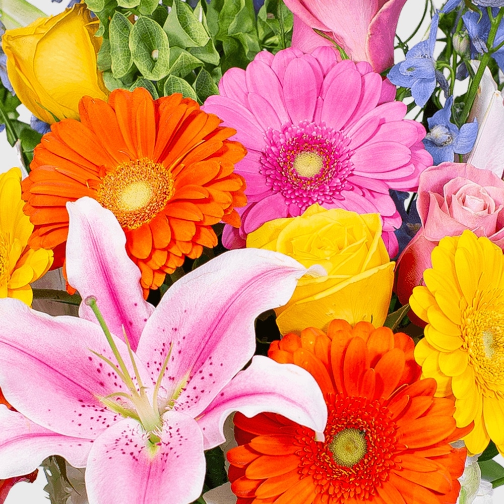 Delicious Daisy in Tulsa OK - Toni's Flowers & Gifts Delicious Daisy in Tulsa OK - Toni's Flowers & Gifts