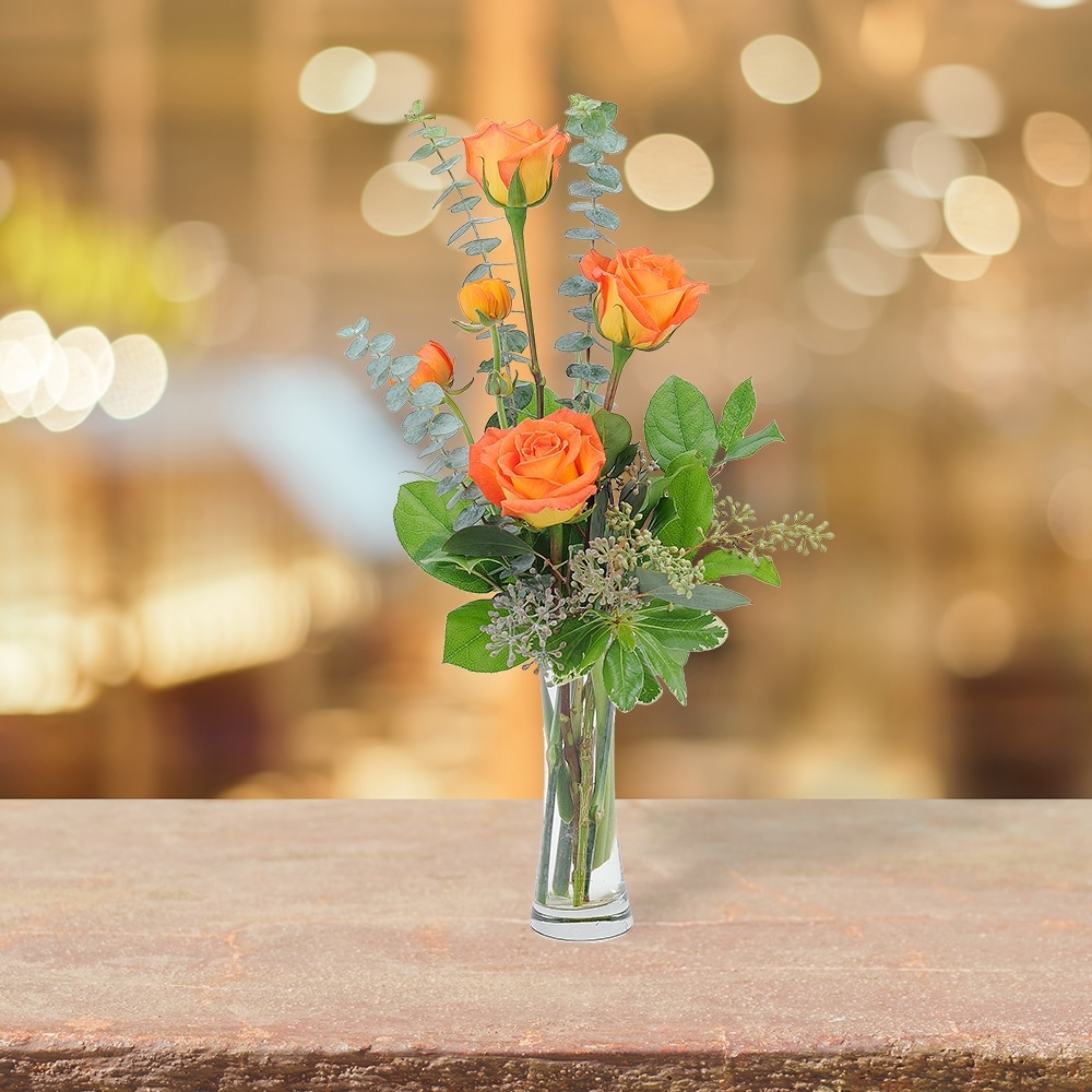 Tangerine Twist in Springfield OH - Schneider's Florist