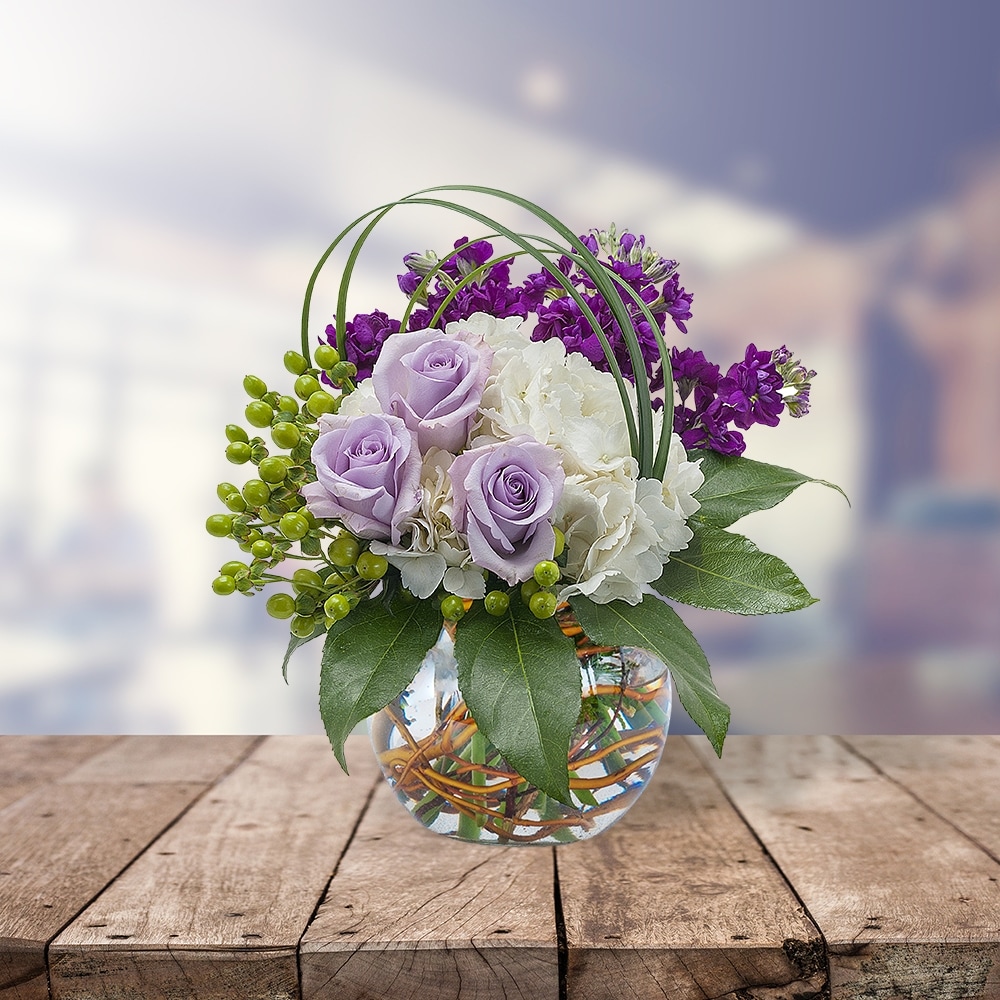 Breezy in Allentown PA