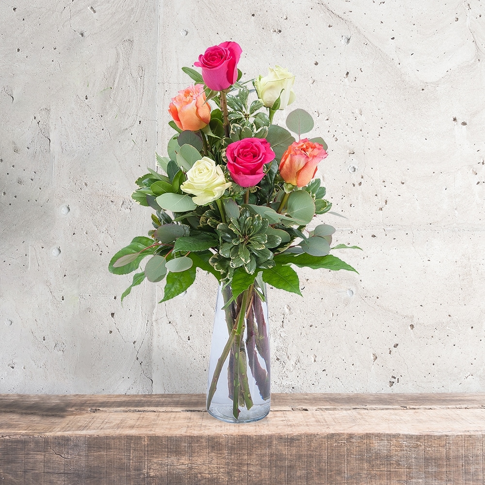 Six Roses in Cleveland OH - Segelin's Florist & Flower Delivery