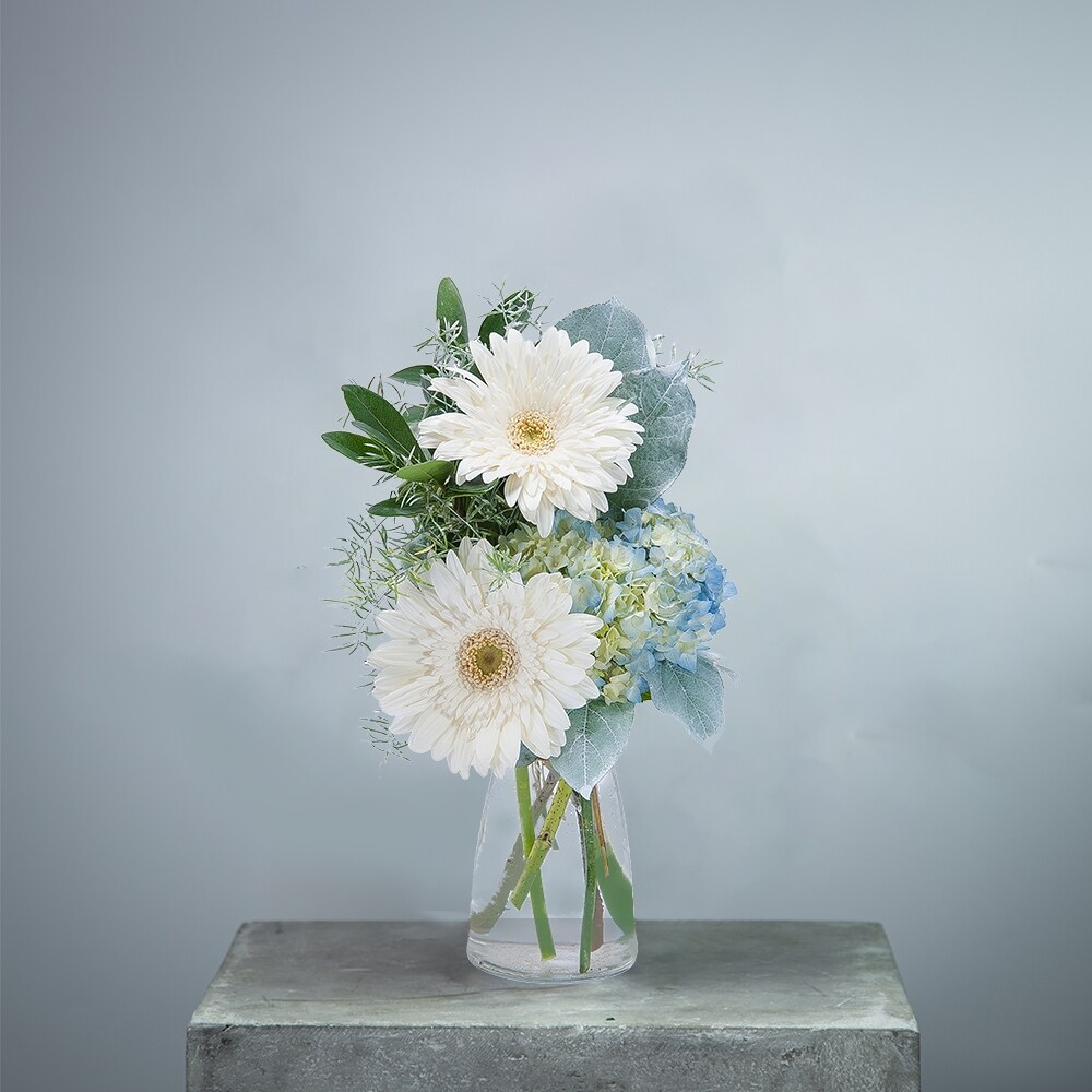 Blue Mist in Wilson NC - HYC Gallery of Flowers