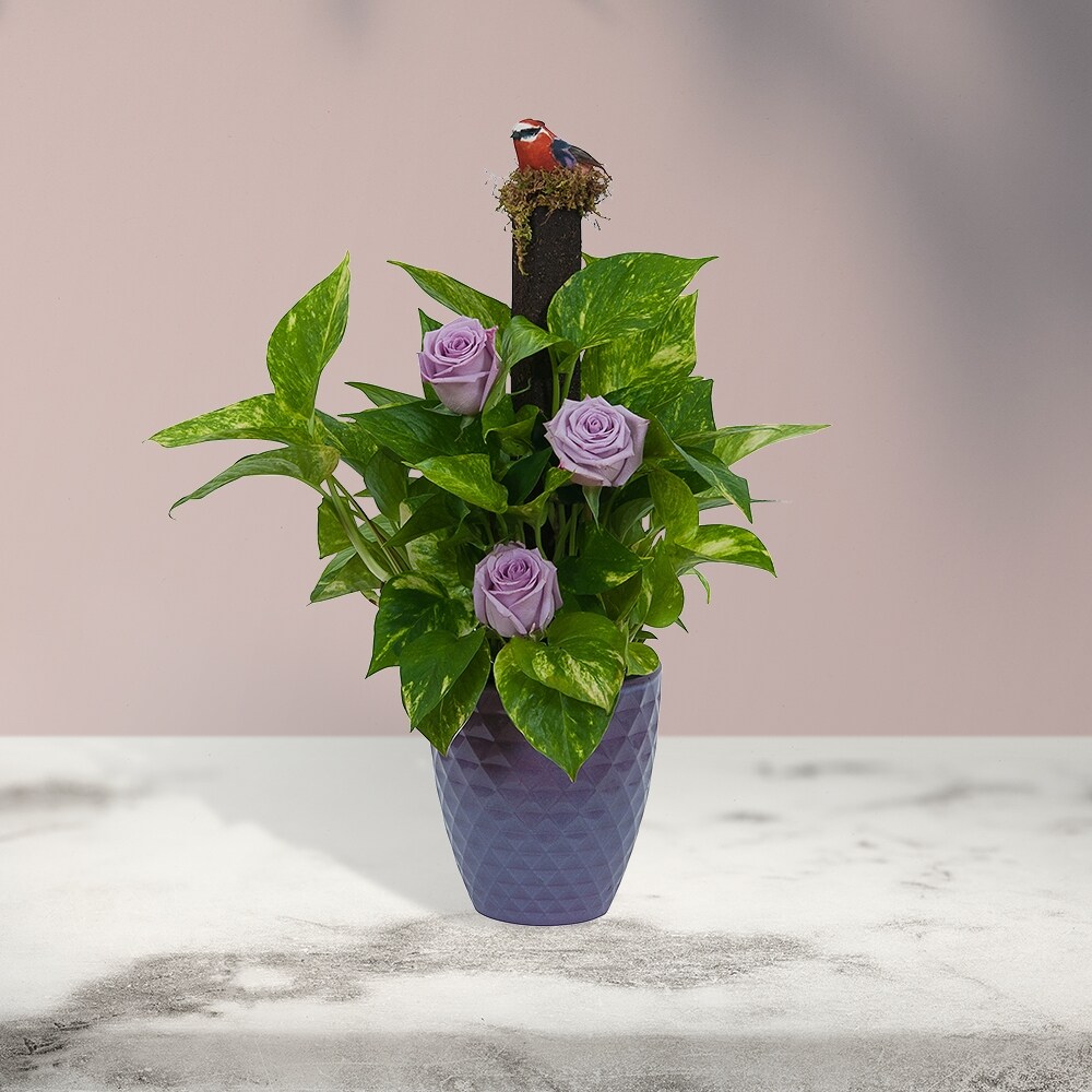 Pothos on Pole with Fresh Flowers in Grand Rapids MI - Kennedy's