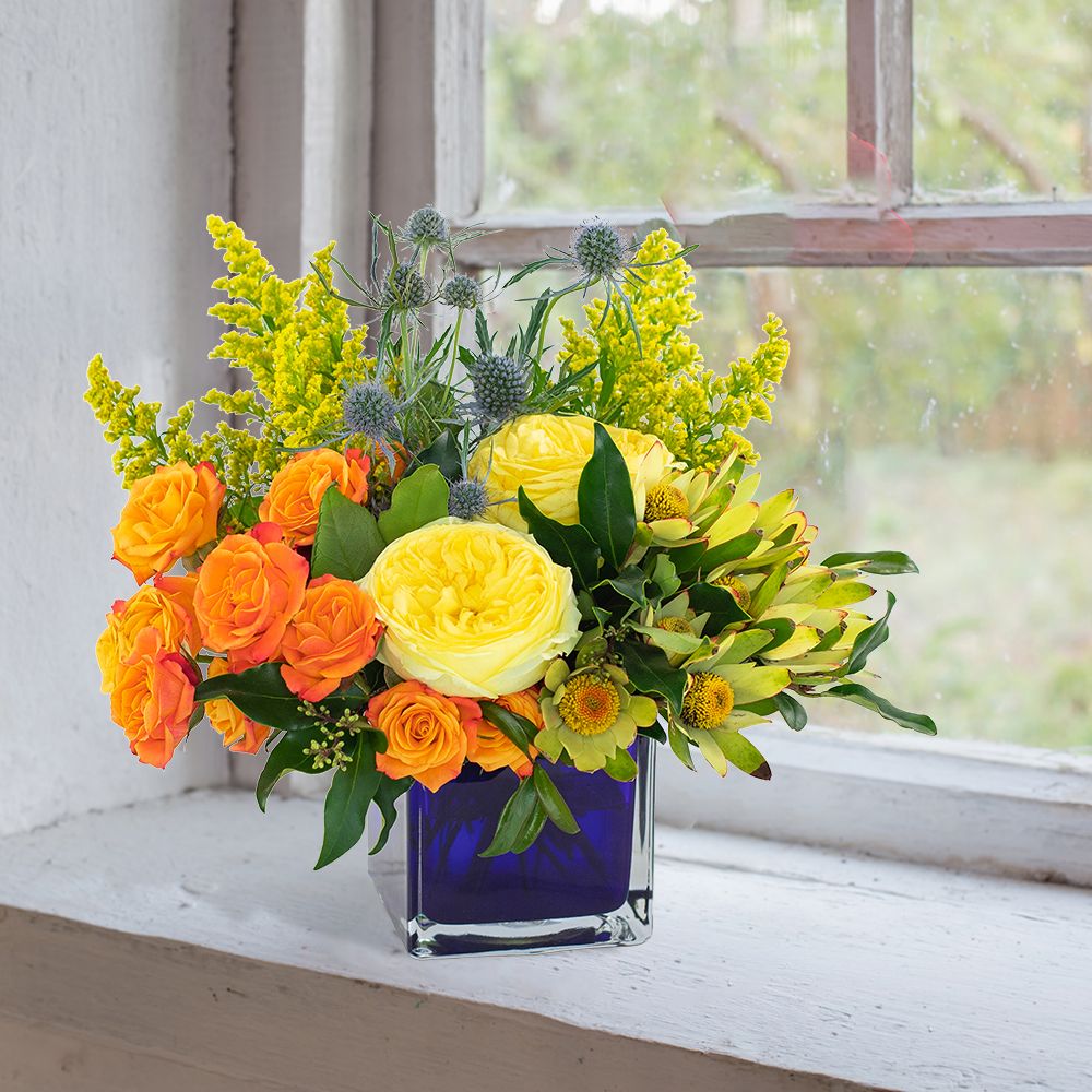 Bloom with Brilliance in Springfield OH - Schneider's Florist