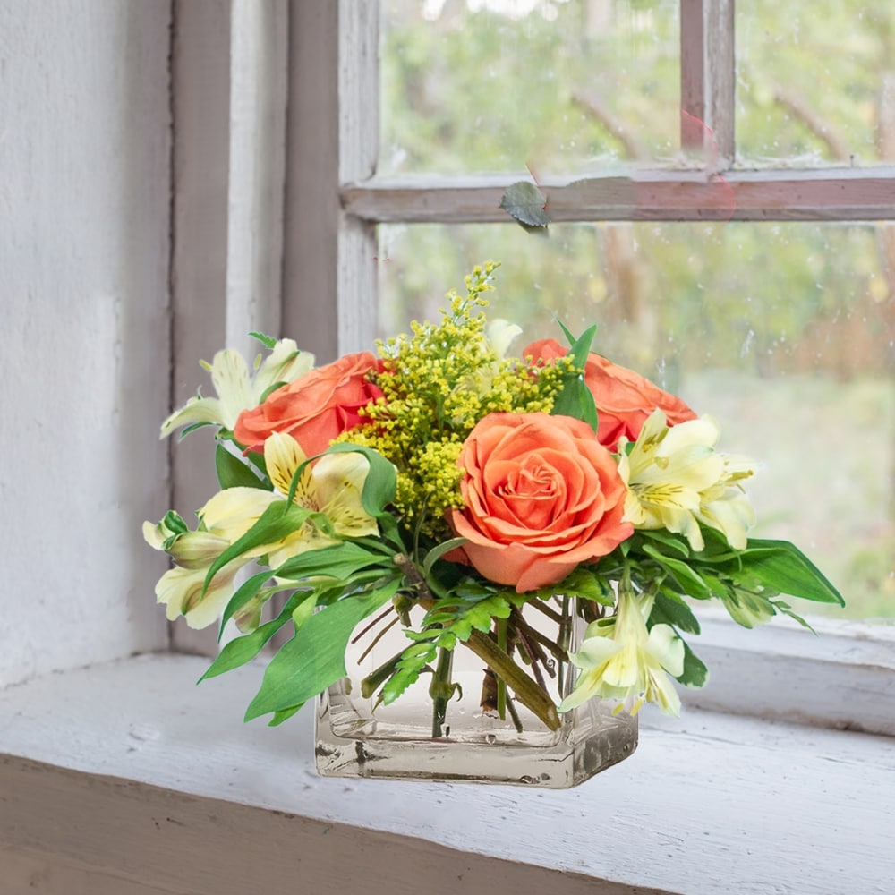 Charlotte's Cube in Fort Collins CO - Audra Rose Florist, Flower