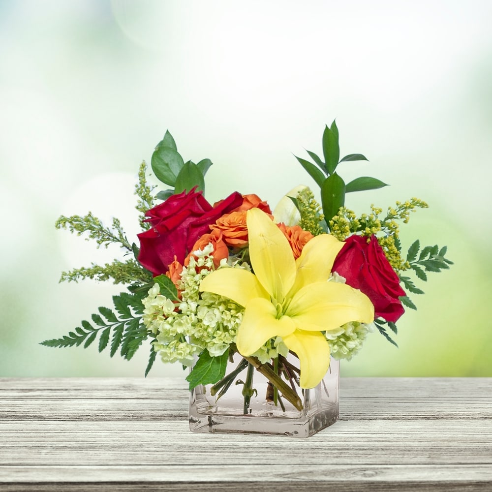 DIA イェビン YEBIN flower 4seasons トレカ 3枚セット DIA イェビン YEBIN flower 4seasons トレカ 4枚セット