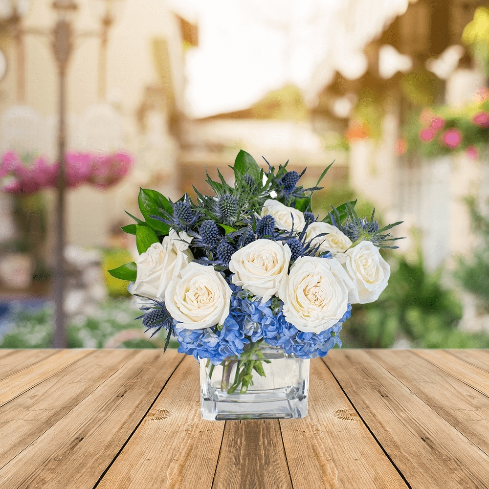 White roses, hydrangeas and forget-me-not sprays on sale (assorted)