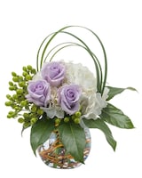 Standard size, 10 inches height and 7 inches wide.