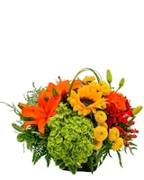 Standard size, 14 inches height and 14 inches wide.