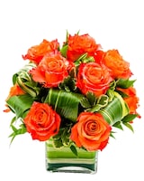 Standard size, 12 inches height and 14 inches wide.