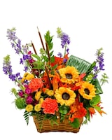 Standard size, 20 inches height and 20 inches wide.