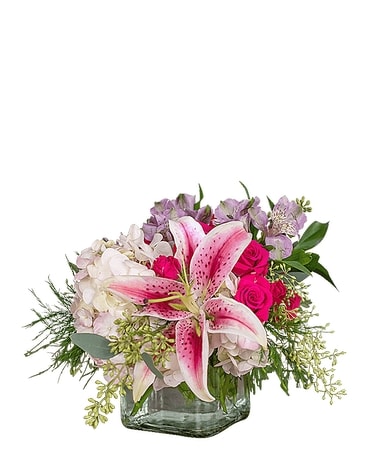 Dazzling Free-Spirit Box Flower Arrangements for Delivery or Pick-up –  Petal Street Flower Company