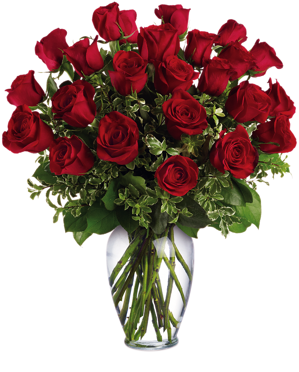 Branding Test 01 in Ypsilanti MI Norton's Flowers & Gifts