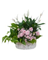 Standard size, 17 inches height and 12 inches wide.