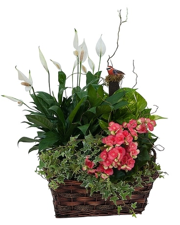 Living Blooming  Garden Basket Flower Arrangement