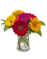 Standard size, 12 inches height and 7 inches wide.