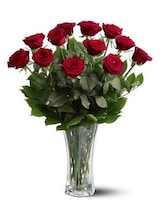 Standard size, 24 inches height and 20 inches wide.