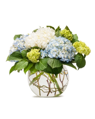 Mighty Hydrangea Flower Arrangement