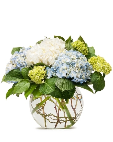 Mighty Hydrangea Flower Arrangement