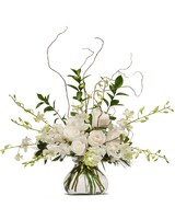Standard size, 14 inches height and 14 inches wide.
